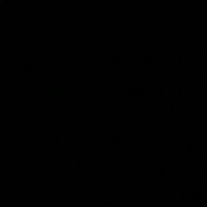 Meet your Posher, Wendi